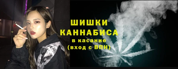 ECSTASY Дмитриев