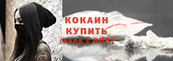 ECSTASY Дмитриев