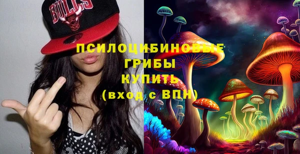 ECSTASY Дмитриев